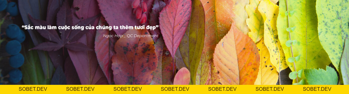 Công Ty TNHH Masterbatch (Việt Nam) Pty. Ltd. – Masterbatch (Vietnam) Pty. Ltd. Company