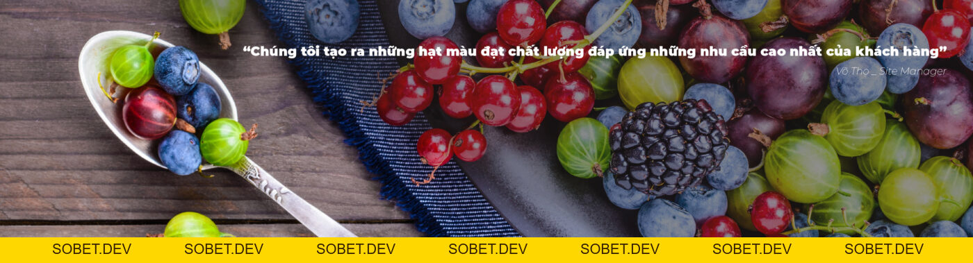 Công Ty TNHH Masterbatch (Việt Nam) Pty. Ltd. – Masterbatch (Vietnam) Pty. Ltd. Company