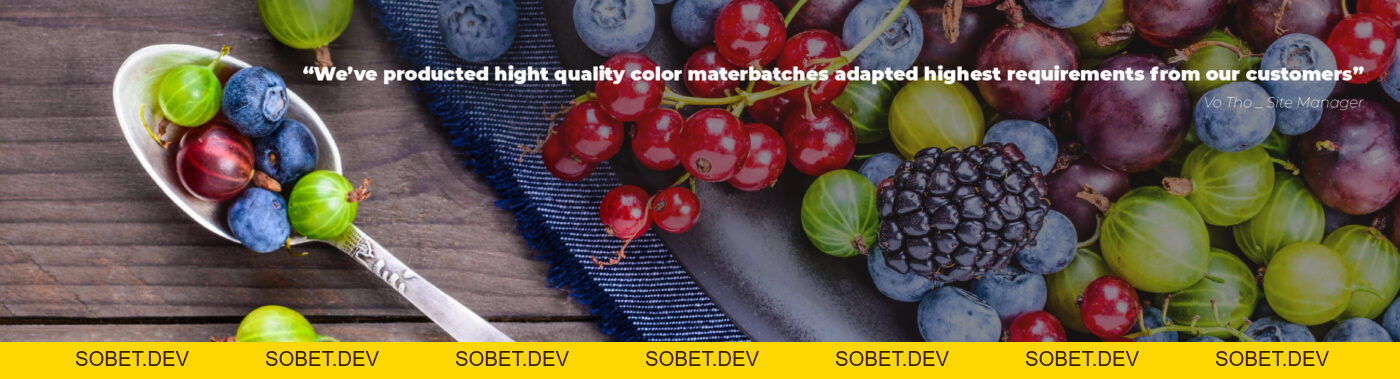 Công Ty TNHH Masterbatch (Việt Nam) Pty. Ltd. – Masterbatch (Vietnam) Pty. Ltd. Company