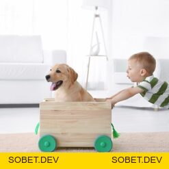 Sản phẩm – Công Ty TNHH Masterbatch (Việt Nam) Pty. Ltd.