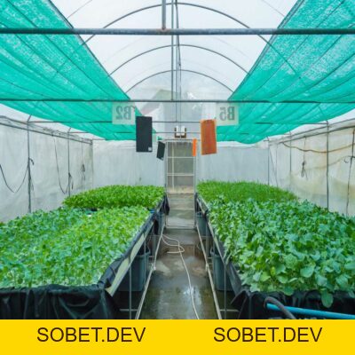 Lưới công nghiệp – Công Ty TNHH Masterbatch (Việt Nam) Pty. Ltd.