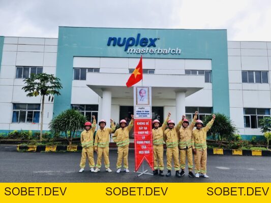 Hoạt động công ty – Công Ty TNHH Masterbatch (Việt Nam) Pty. Ltd.