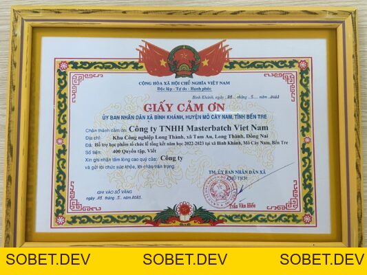 Hoạt động công ty – Công Ty TNHH Masterbatch (Việt Nam) Pty. Ltd.