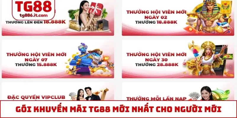 Khuyến Mãi TG88 Mới Nhất 2026 Mà Mọi Thành Viên Cần Biết