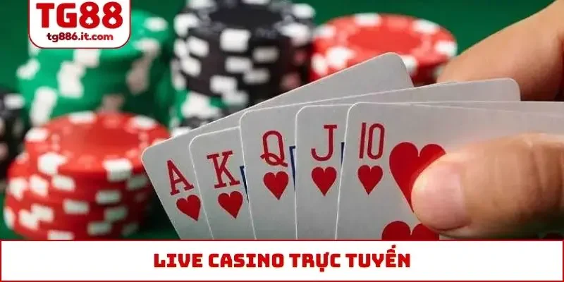 Tin tức - TG88