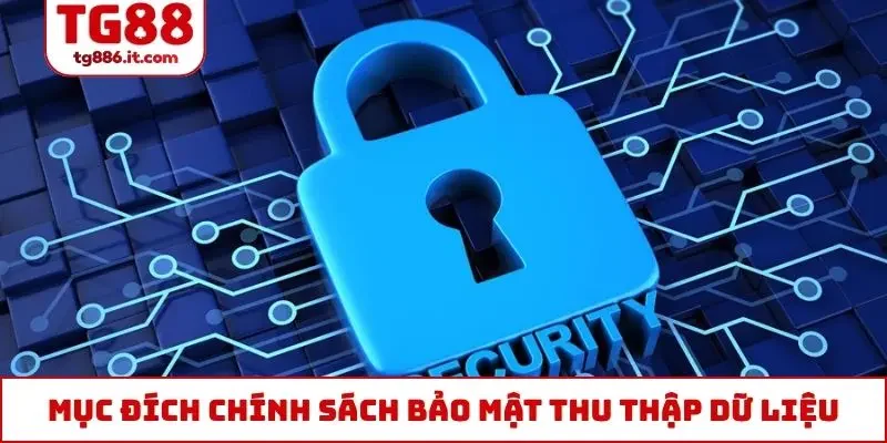 Chính Sách Bảo Mật TG88 Đặt Quyền Lợi Thành Viên Tối Đa
