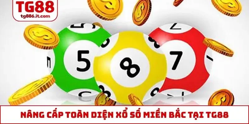 Xổ Số Miền Bắc XSMB - Kết Quả Nhanh, Tỷ Lệ Trả Thưởng Cao