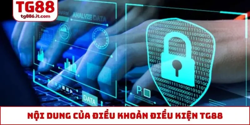 Điều Khoản Điều Kiện TG88 - Cập Nhật Quy Định Cần Nắm Rõ