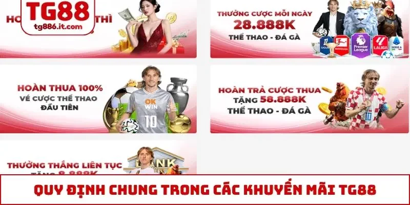 Khuyến Mãi TG88 Mới Nhất 2026 Mà Mọi Thành Viên Cần Biết