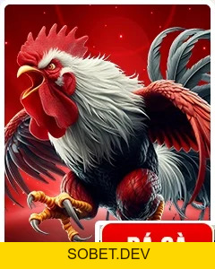 TG88 alar | Link Cá Cược Mới T9/2026 tg88.com | Code +88K